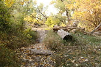 Enlarge photo 125