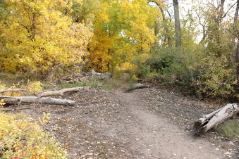 Enlarge photo 126