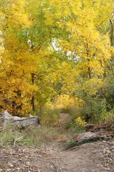 Enlarge photo 127