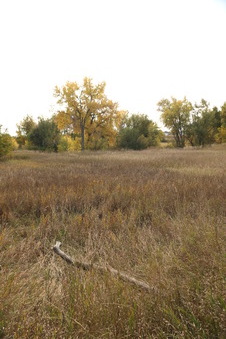 Enlarge photo 128