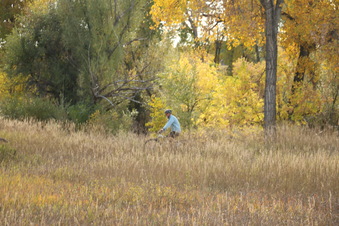 Enlarge photo 132