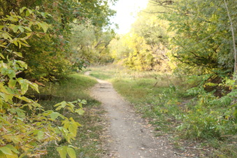 Enlarge photo 133