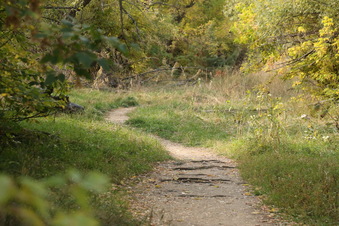 Enlarge photo 134