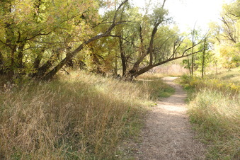 Enlarge photo 138