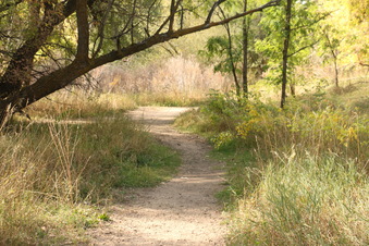 Enlarge photo 139