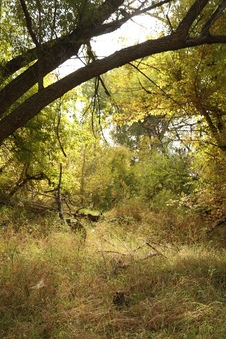 Enlarge photo 140