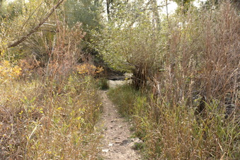 Enlarge photo 142