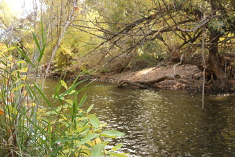 Enlarge photo 143