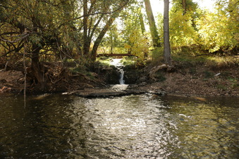 Enlarge photo 144