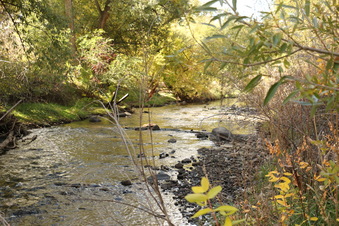 Enlarge photo 147