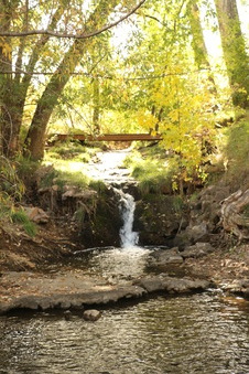 Enlarge photo 145