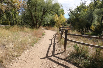 Enlarge photo 149