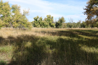 Enlarge photo 150