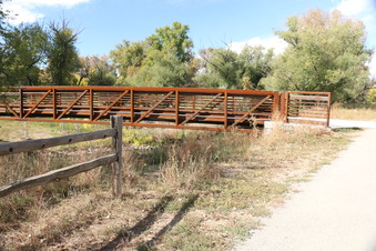 Enlarge photo 155