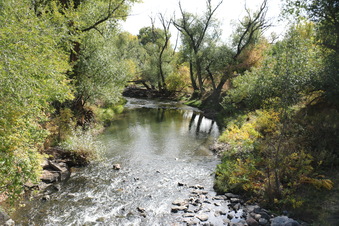 Enlarge photo 160