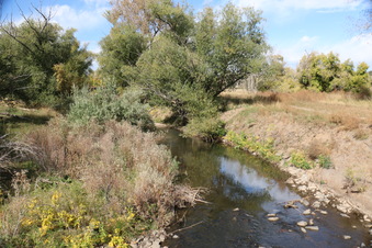 Enlarge photo 162