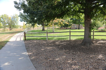Enlarge photo 165