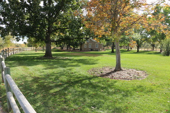 Enlarge photo 166