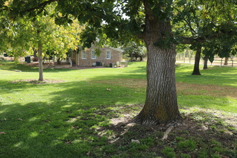 Enlarge photo 168