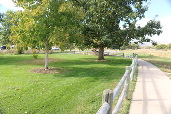 Enlarge photo 169