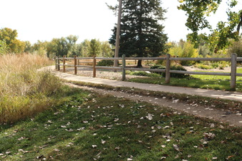 Enlarge photo 170