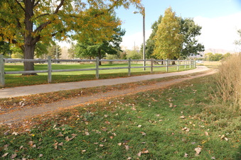 Enlarge photo 172