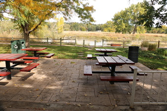 Enlarge photo 178
