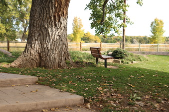 Enlarge photo 181