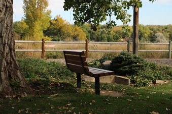 Enlarge photo 182