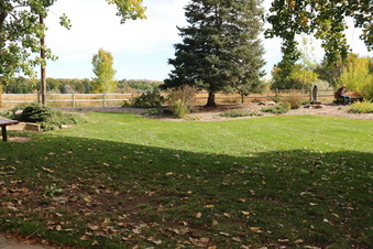 Enlarge photo 183