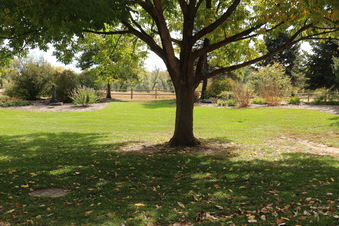 Enlarge photo 184