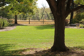 Enlarge photo 185
