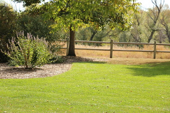 Enlarge photo 186