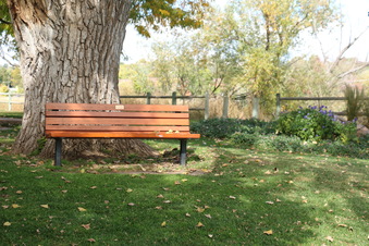 Enlarge photo 188