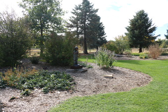Enlarge photo 189