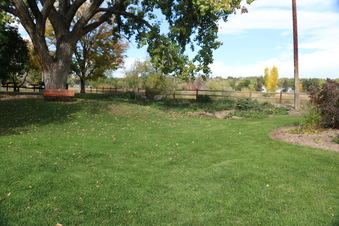 Enlarge photo 193