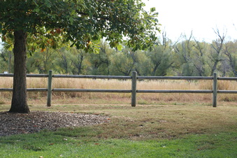 Enlarge photo 198