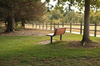 Enlarge photo 197