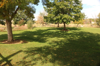 Enlarge photo 205