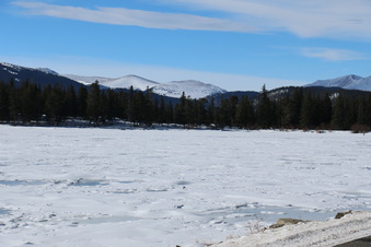 Enlarge photo 33