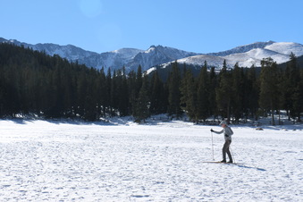 Enlarge photo 25