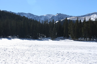 Enlarge photo 20