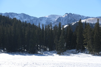 Enlarge photo 19