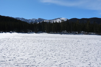 Enlarge photo 18
