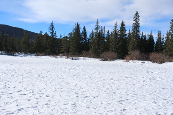 Enlarge photo 17