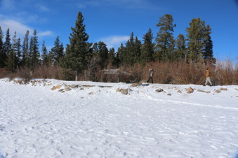 Enlarge photo 16