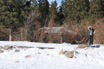 Enlarge photo 15