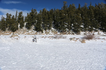 Enlarge photo 14