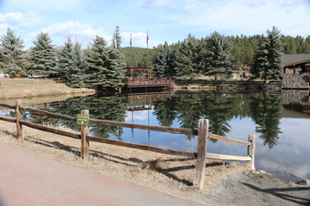 Enlarge photo 2