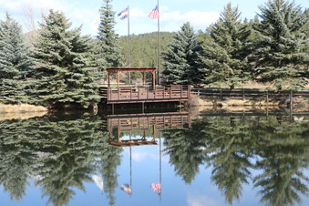 Enlarge photo 25